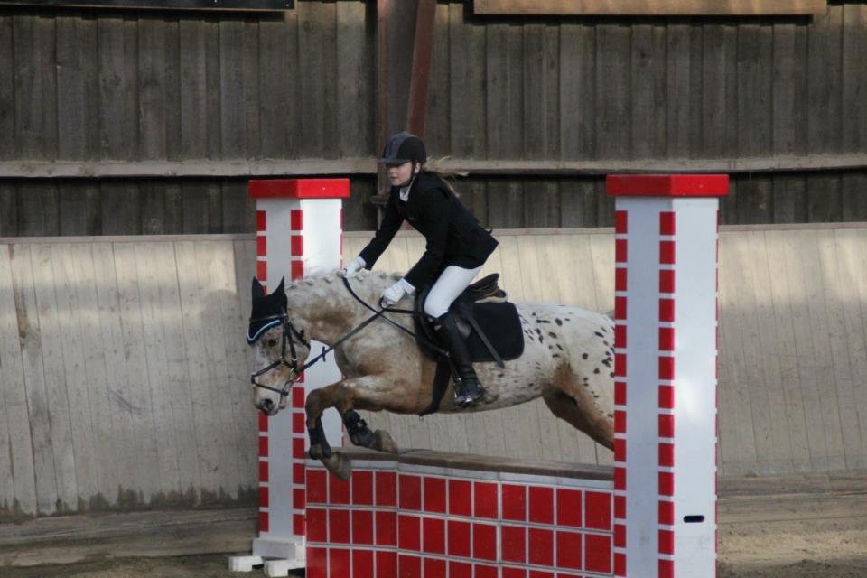 Appaloosa Plet - Springstævne - 2013 (19-4-13) billede 16