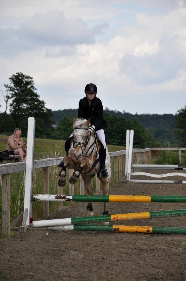 Appaloosa Plet - Klubmesterskab - 2012 (23-6-12) billede 17