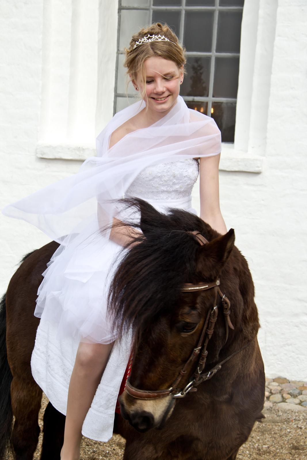 Dartmoor Flicka - Den bedste dag med min dejlige lille pony..!
En dag jeg aldrig vil glemme!! :-**
- Flicka billede 2