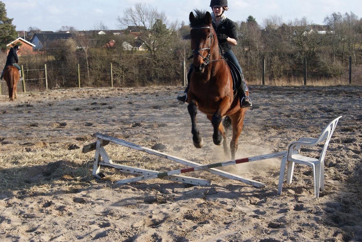 Traver Kenzo - En af de første gange han sprang! :D <3 billede 19