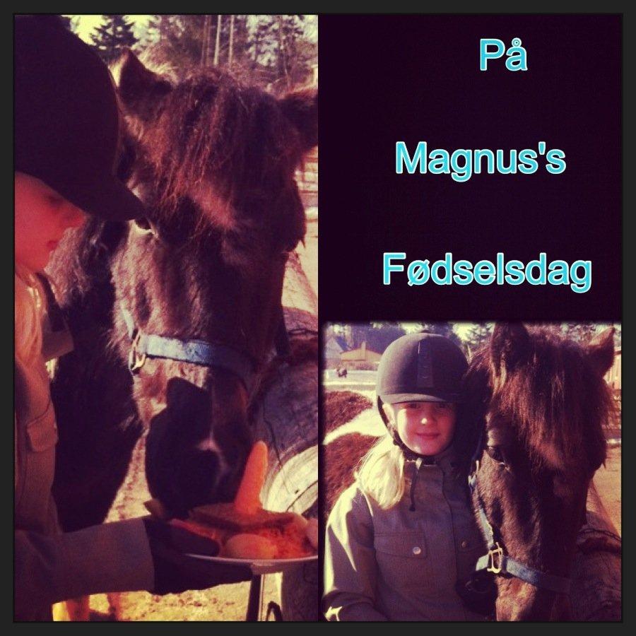 Anden særlig race Magnus <3 billede 4