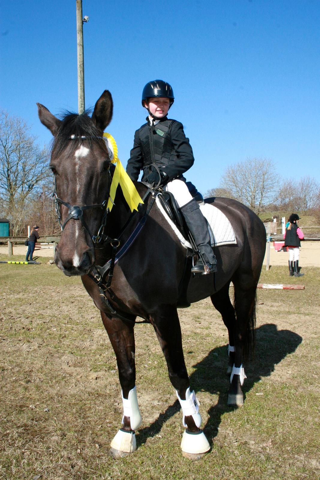 Dansk Varmblod Lagua Mirim - Baby jump i MLRK D.21/4.13 Fejl frit billede 3