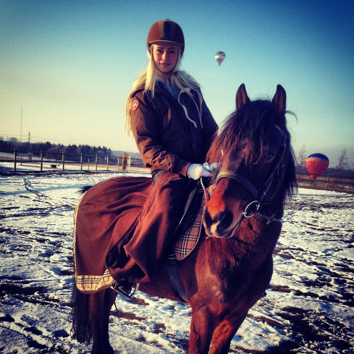 New Forest Ida´s Moonlight *Monty* - Med luftballoner og det hele ;-) billede 17