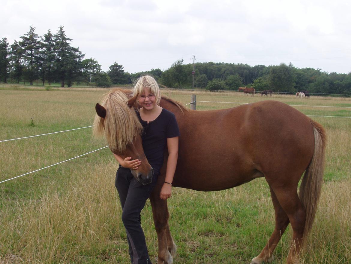 Islænder Ósk fra Bjerregaard [HIMMELHEST] - Mit første møde med mit hjertebarn <3 billede 7