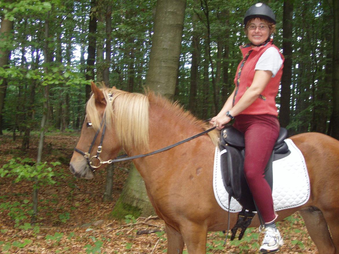 Islænder Ósk fra Bjerregaard [HIMMELHEST] - Min mor og Ósk. Hun var den bedste! billede 19