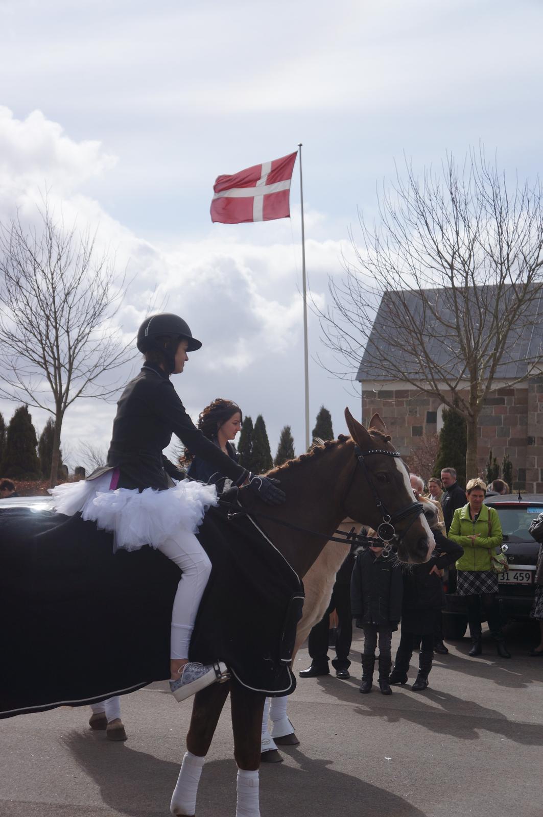 Anden særlig race Pax - Han kom lige et smut til kirken <3 billede 5