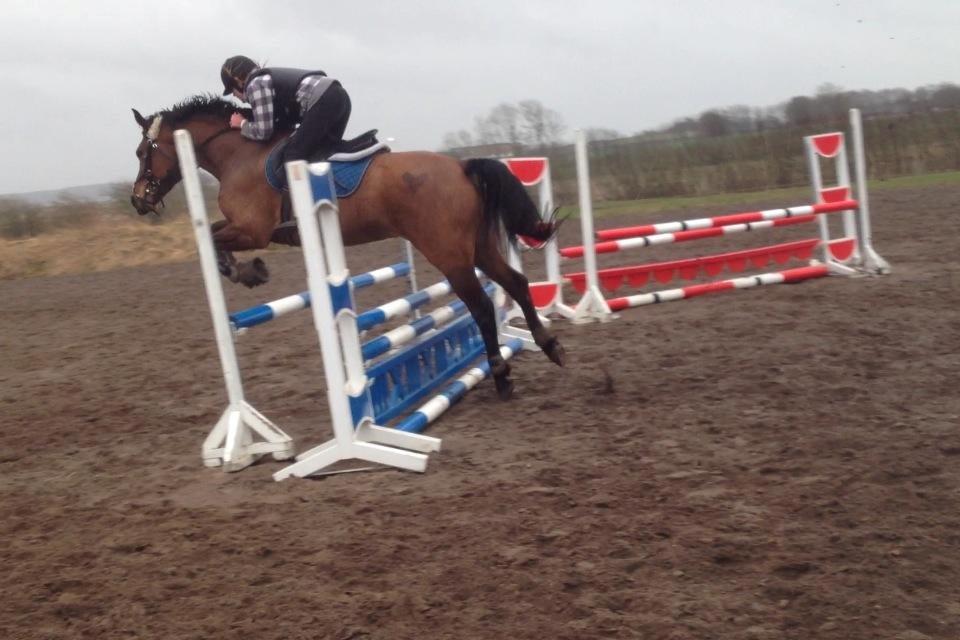 Anden særlig race Lucky billede 1