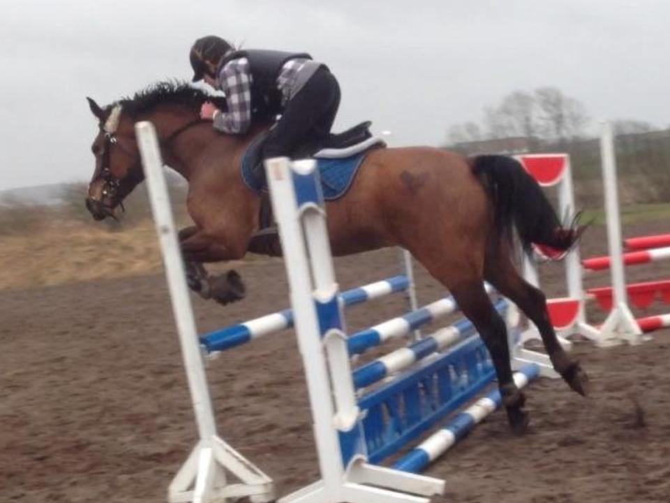 Anden særlig race Lucky billede 4