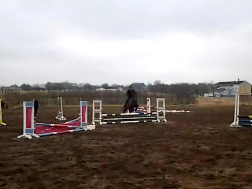 Anden særlig race Lucky billede 9