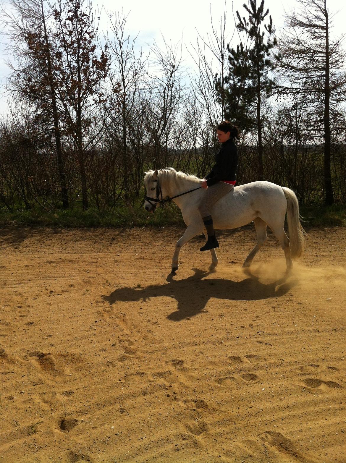 Anden særlig race Coco - April 2013 billede 19