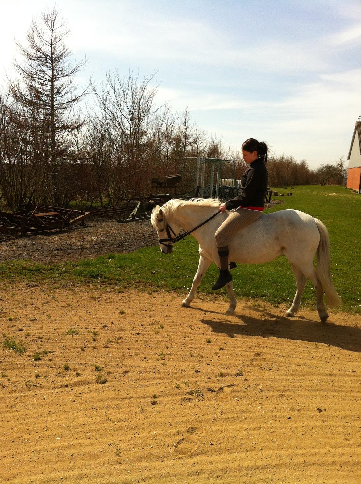 Anden særlig race Coco - April 2013 billede 20