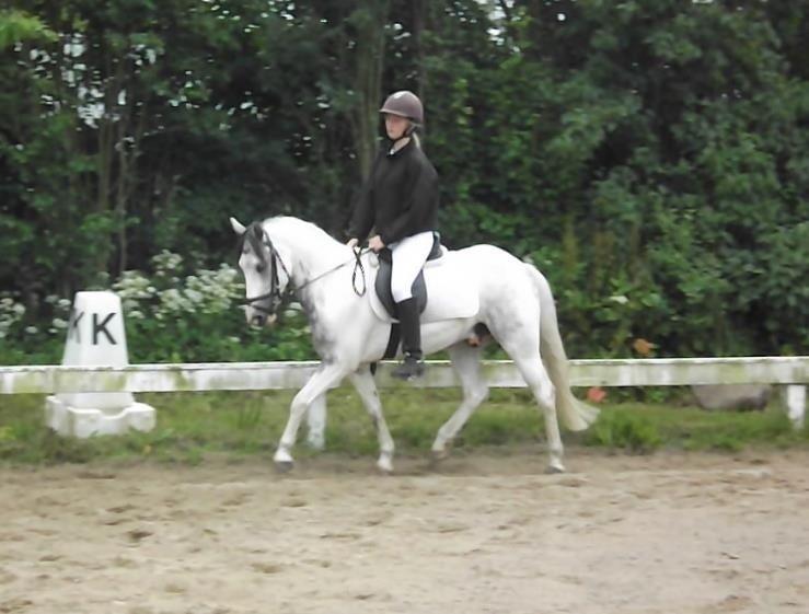 Anden særlig race Müseli<3 ( bornholms og klub mester ) billede 17