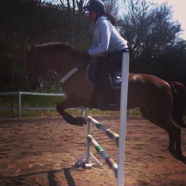 Anden særlig race Milla billede 3