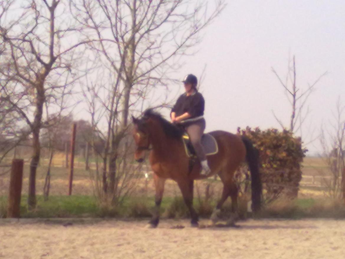 Anden særlig race Harry Potter billede 8