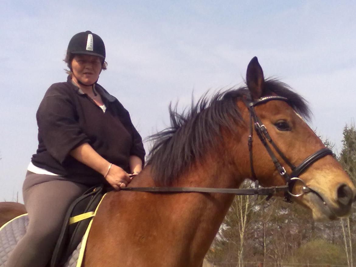 Anden særlig race Harry Potter billede 9