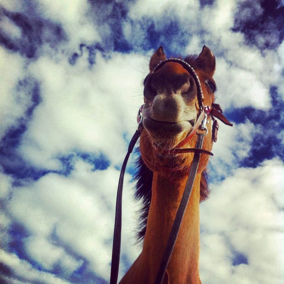 Anden særlig race Lady - Bidløs dag. <3 Foto: Mig  billede 6