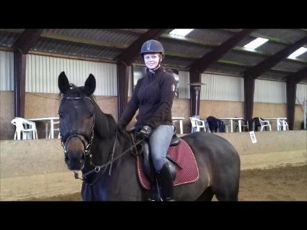 Tysk Varmblod AK's Bantry Bay billede 33