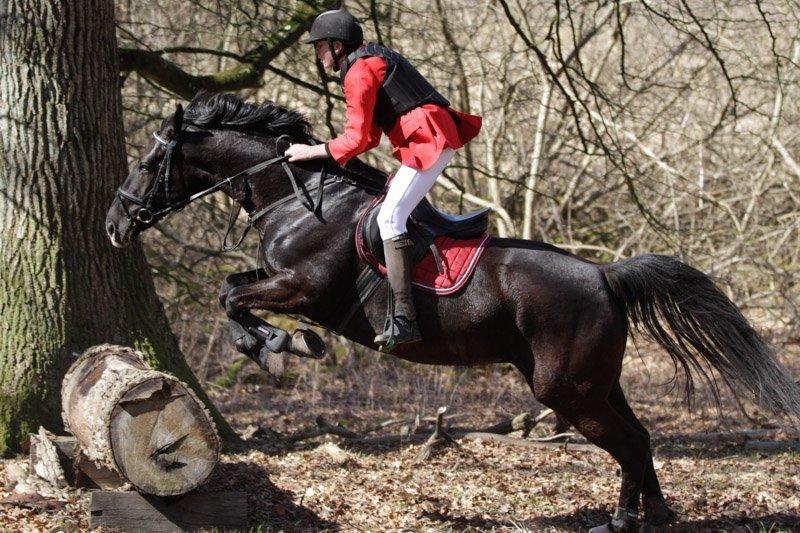 Oldenborg Petrea - Førset jagt MJ-Foto billede 9