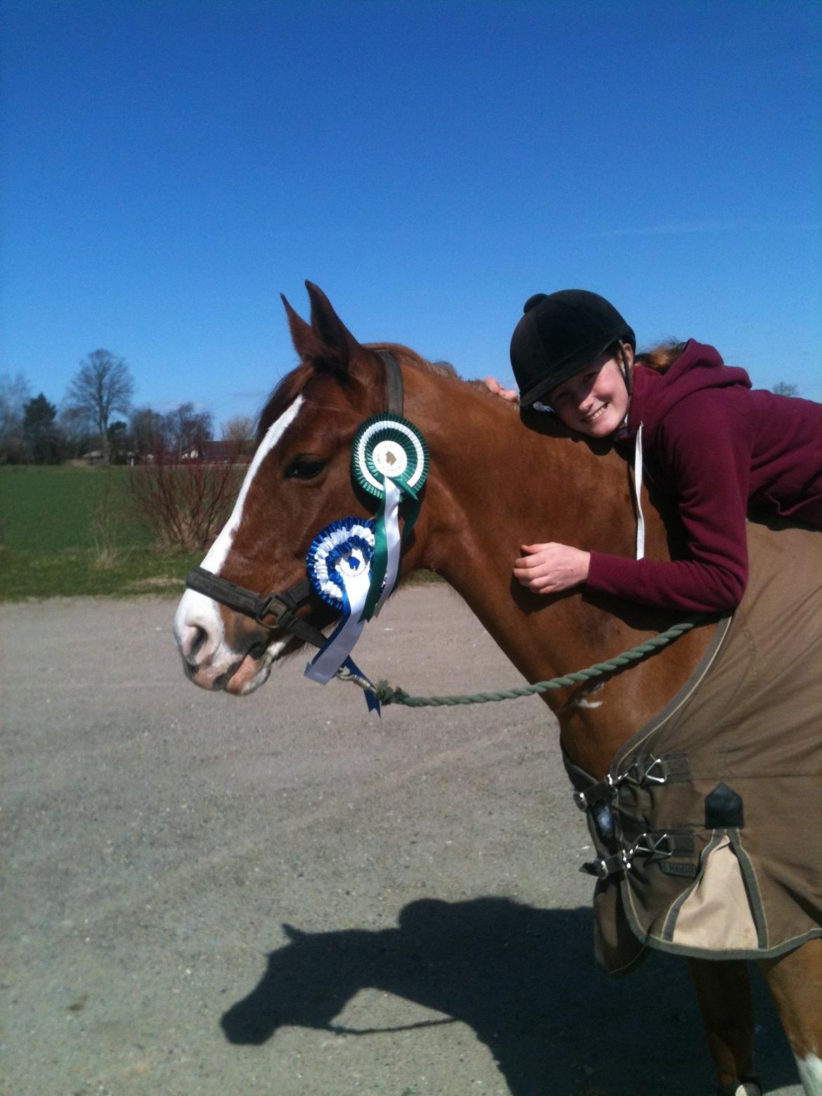 DSP Burton´s Baya<3 billede 18