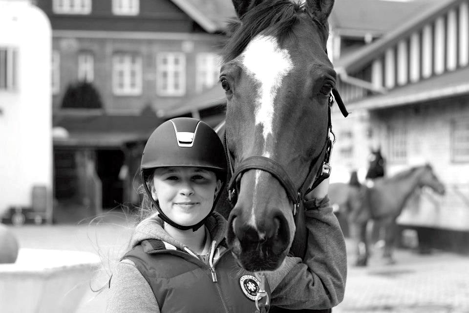 Trakehner Lasse e. Buddenbrock billede 3