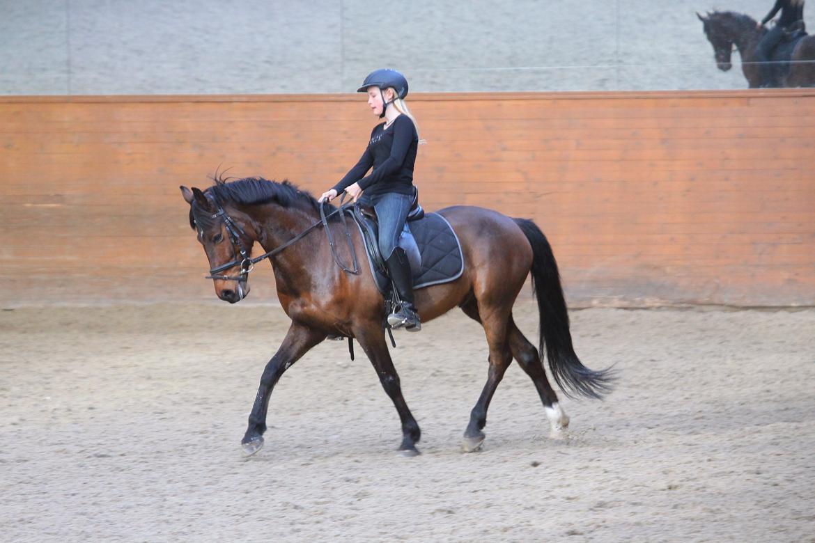 DSP Action Junior - dressur undervisning 2013 rykket sig utrolig meget siden billede 1