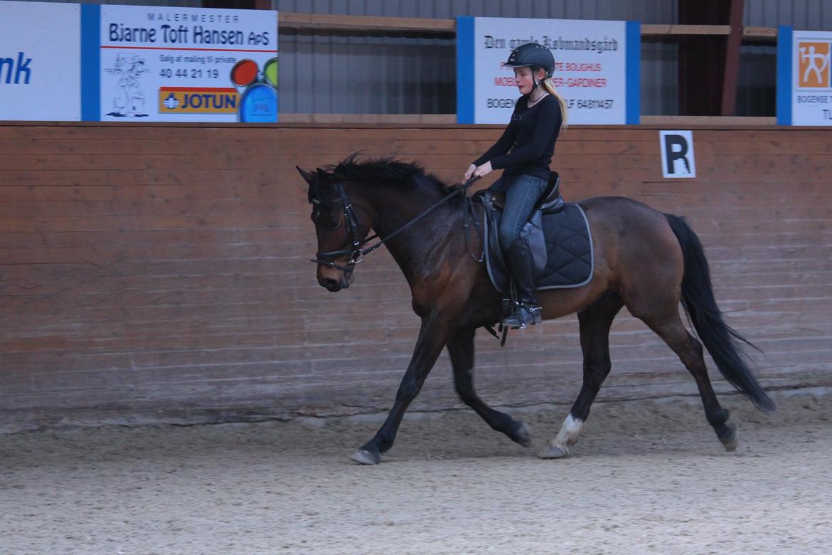 DSP Action Junior billede 2