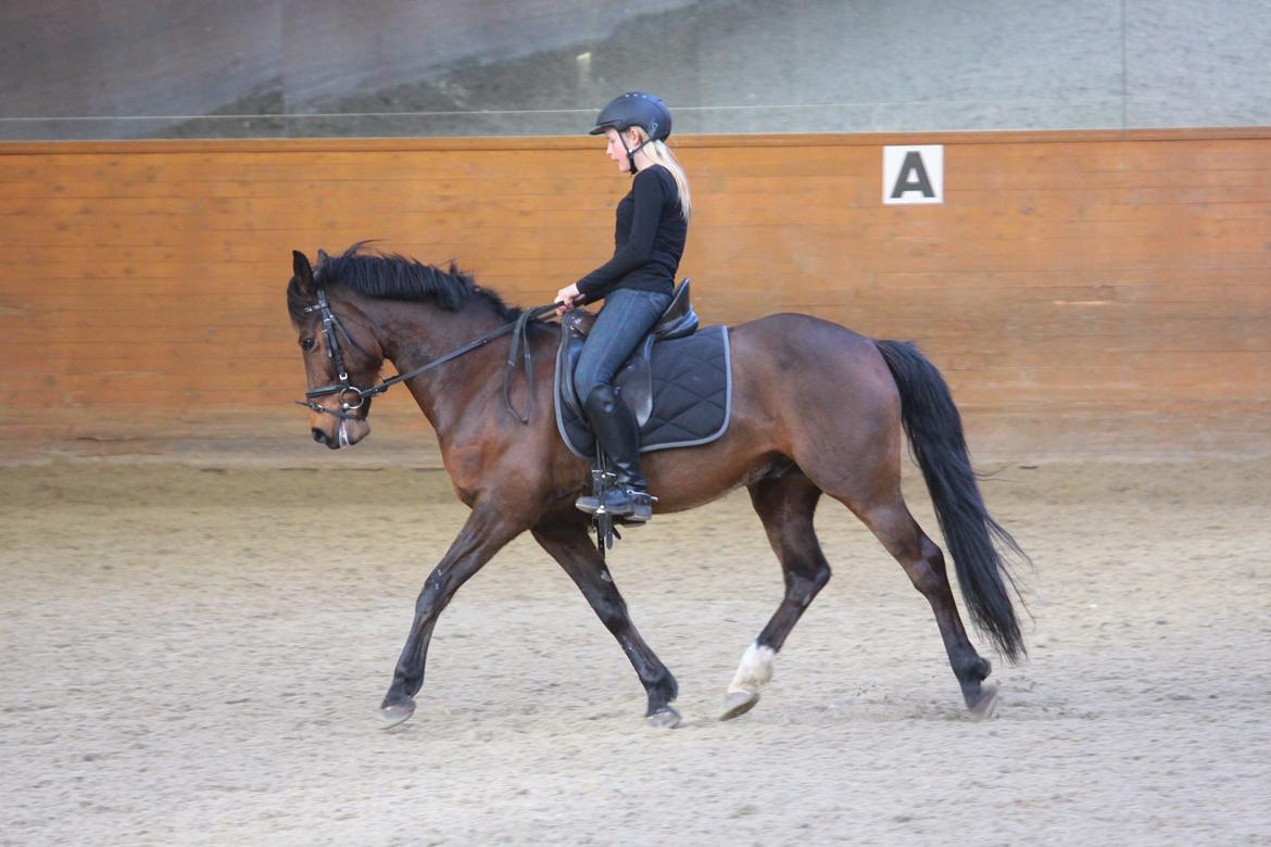 DSP Action Junior billede 3