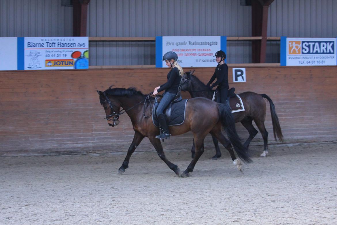 DSP Action Junior billede 4