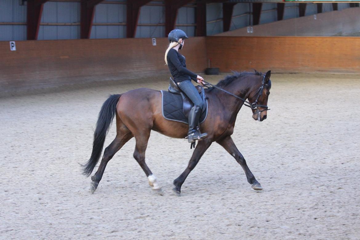 DSP Action Junior billede 5