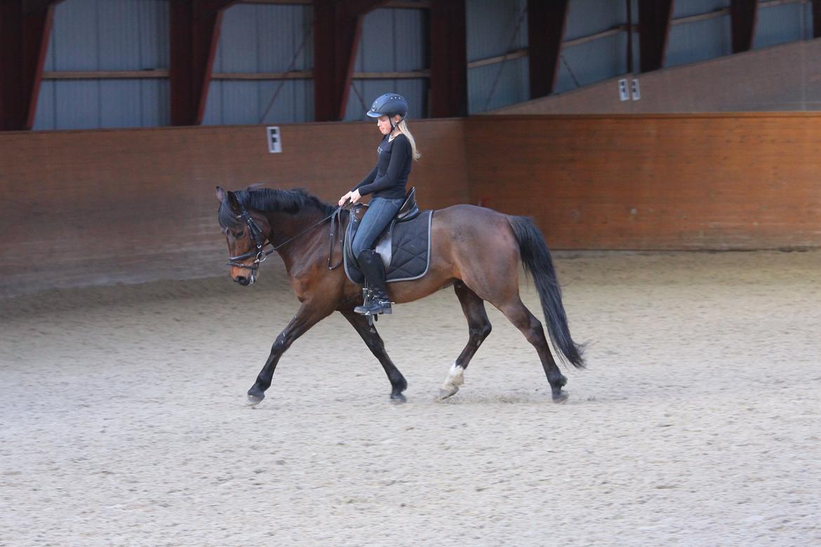 DSP Action Junior billede 6