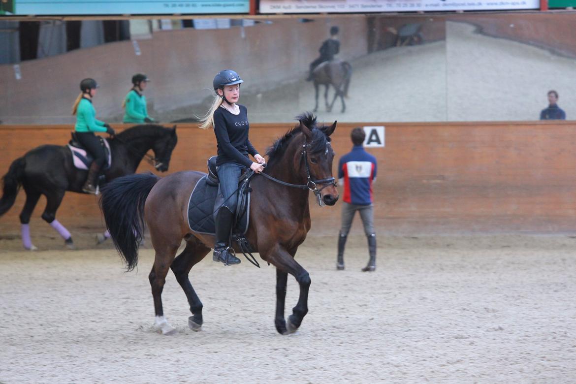 DSP Action Junior billede 7