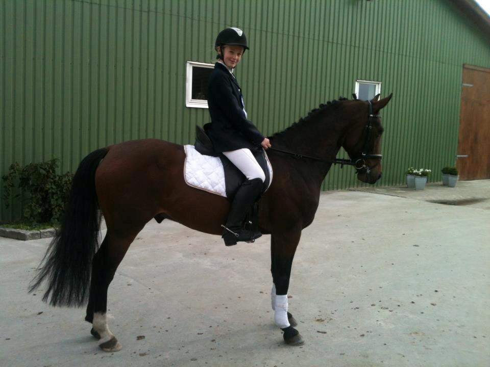 DSP Action Junior - fra hans aller første stævne 2 plads meget oppe og køre og vi have ikke fået undervisning billede 8