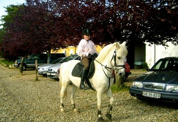 Anden særlig race Junker <3 billede 21