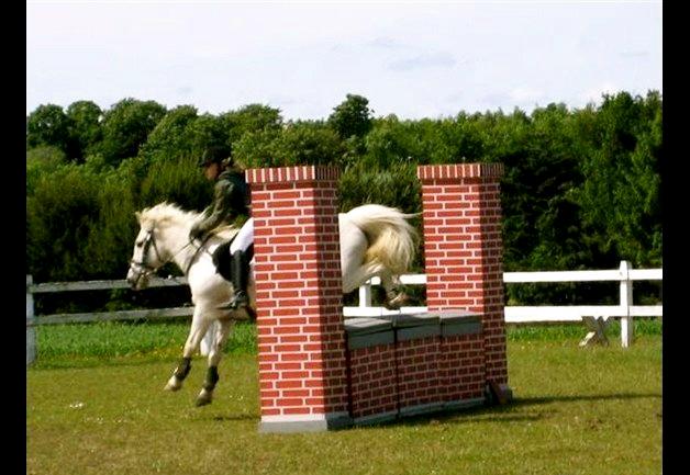 Anden særlig race Junker <3 billede 22