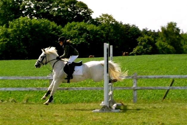 Anden særlig race Junker <3 billede 23