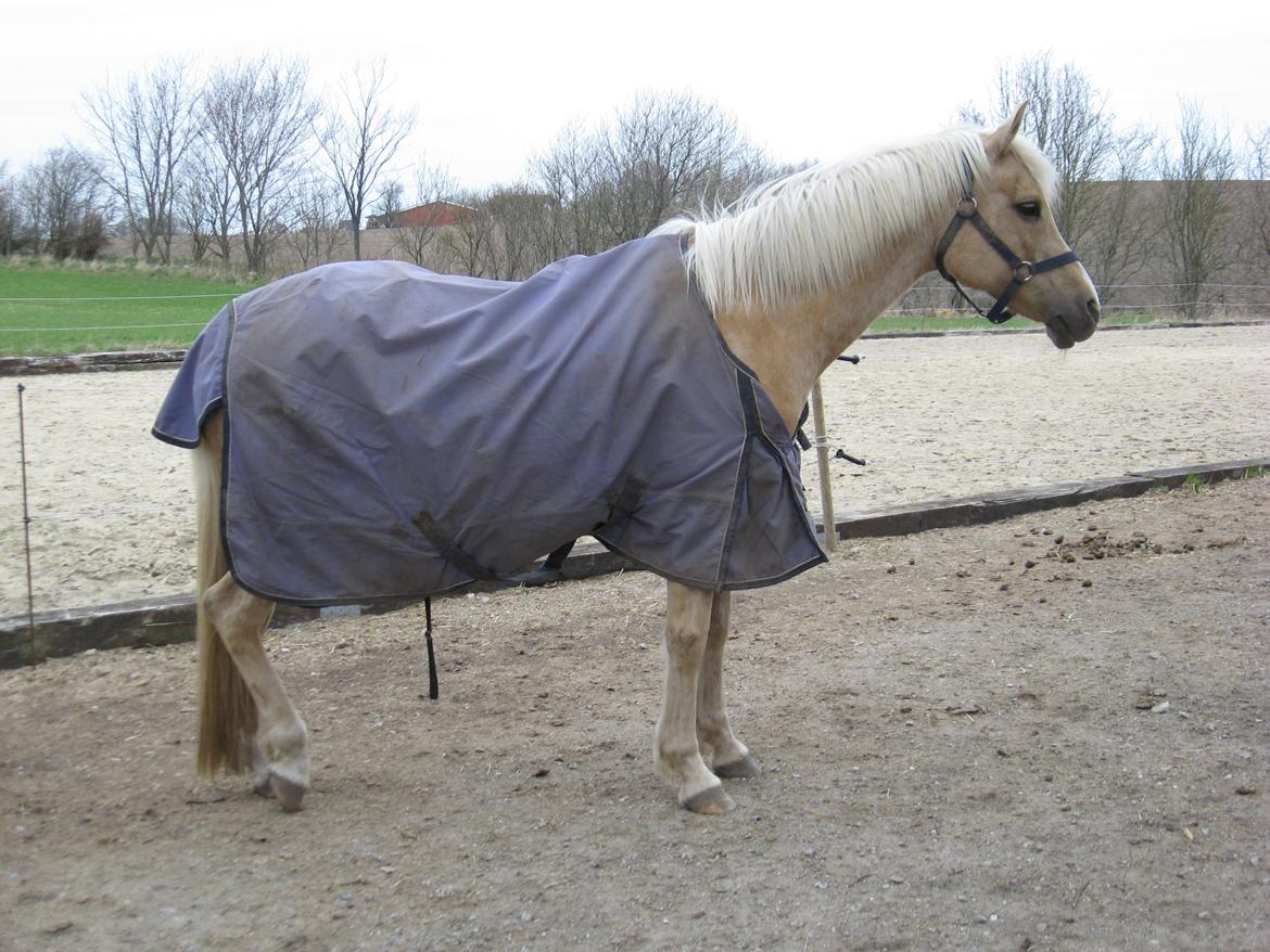 DSP Legend Moon Princess - April 2013 billede 6