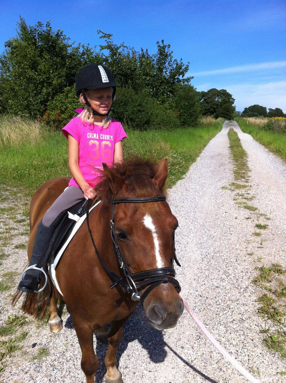 Shetlænder Safir - Safir og Freya billede 3