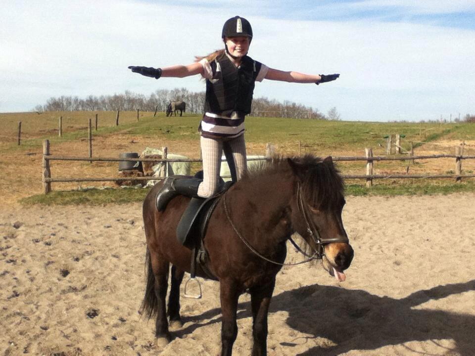 Islænder Flicka billede 2