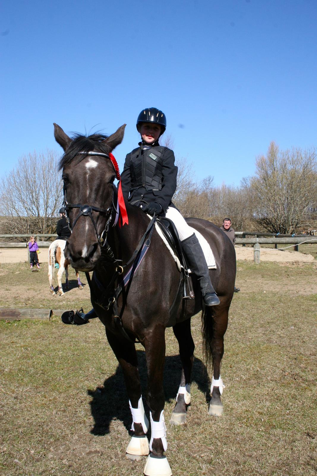 Dansk Varmblod Lagua Mirim - LF for hest i MLRK D.21/4.13 Hvor vi vandt billede 10