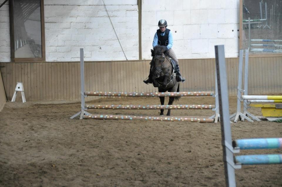 Anden særlig race Malou - Foto: Katla billede 7