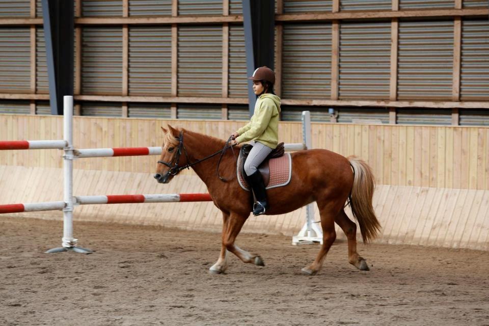 Anden særlig race Alie (HVR) Rideskolepony - det her er et billed fra da jeg var på mit første stævne på alie billede 6