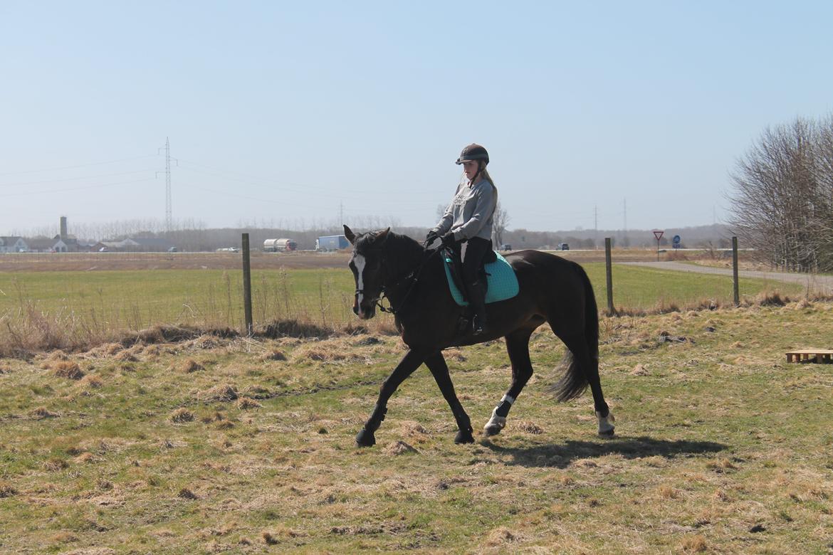 Anden særlig race Frk. Smilla <3. Part billede 13