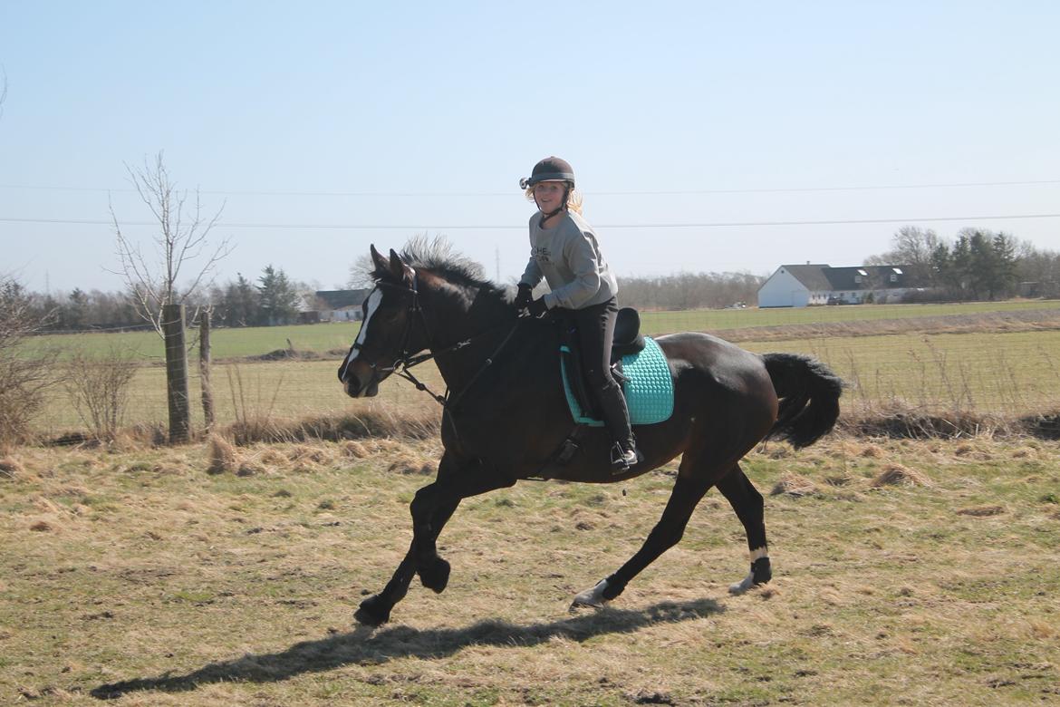 Anden særlig race Frk. Smilla <3. Part billede 14