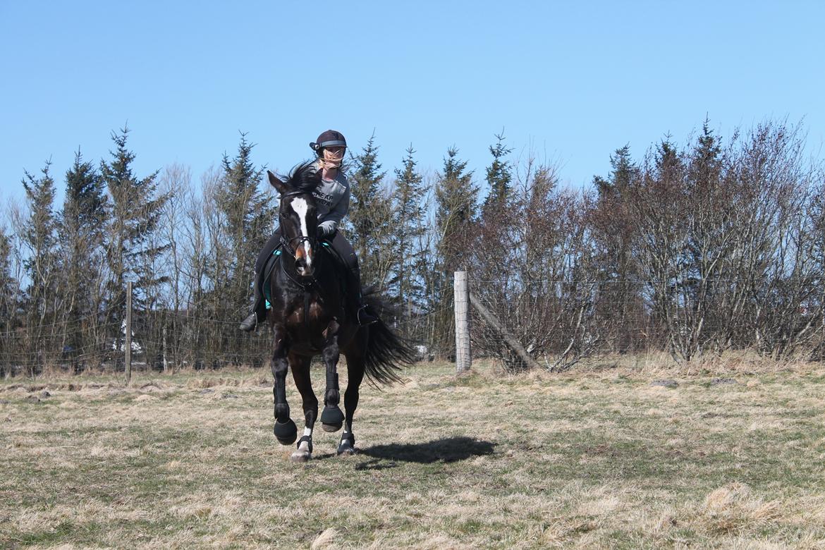 Anden særlig race Frk. Smilla <3. Part billede 15