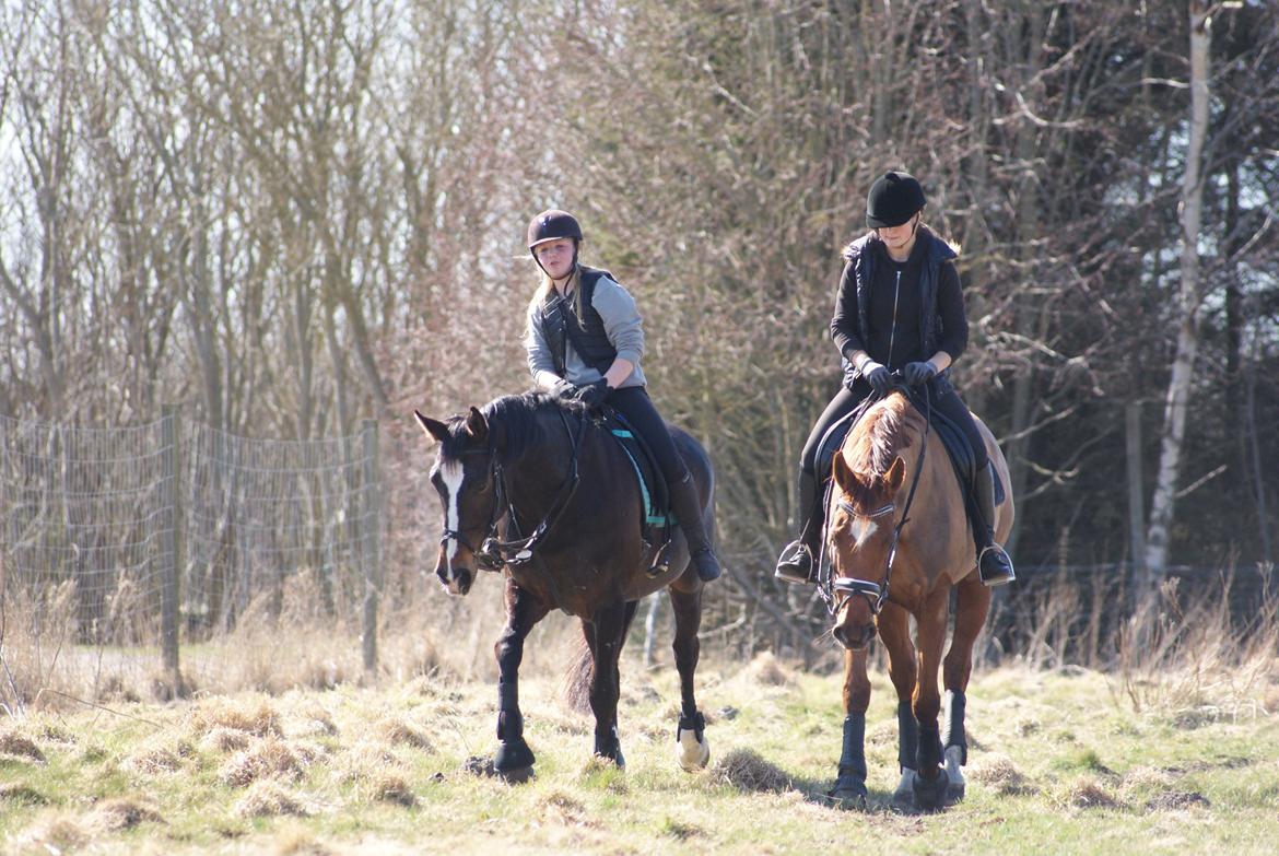 Anden særlig race Frk. Smilla <3. Part billede 16