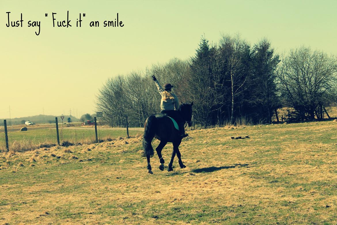 Anden særlig race Frk. Smilla <3. Part billede 17