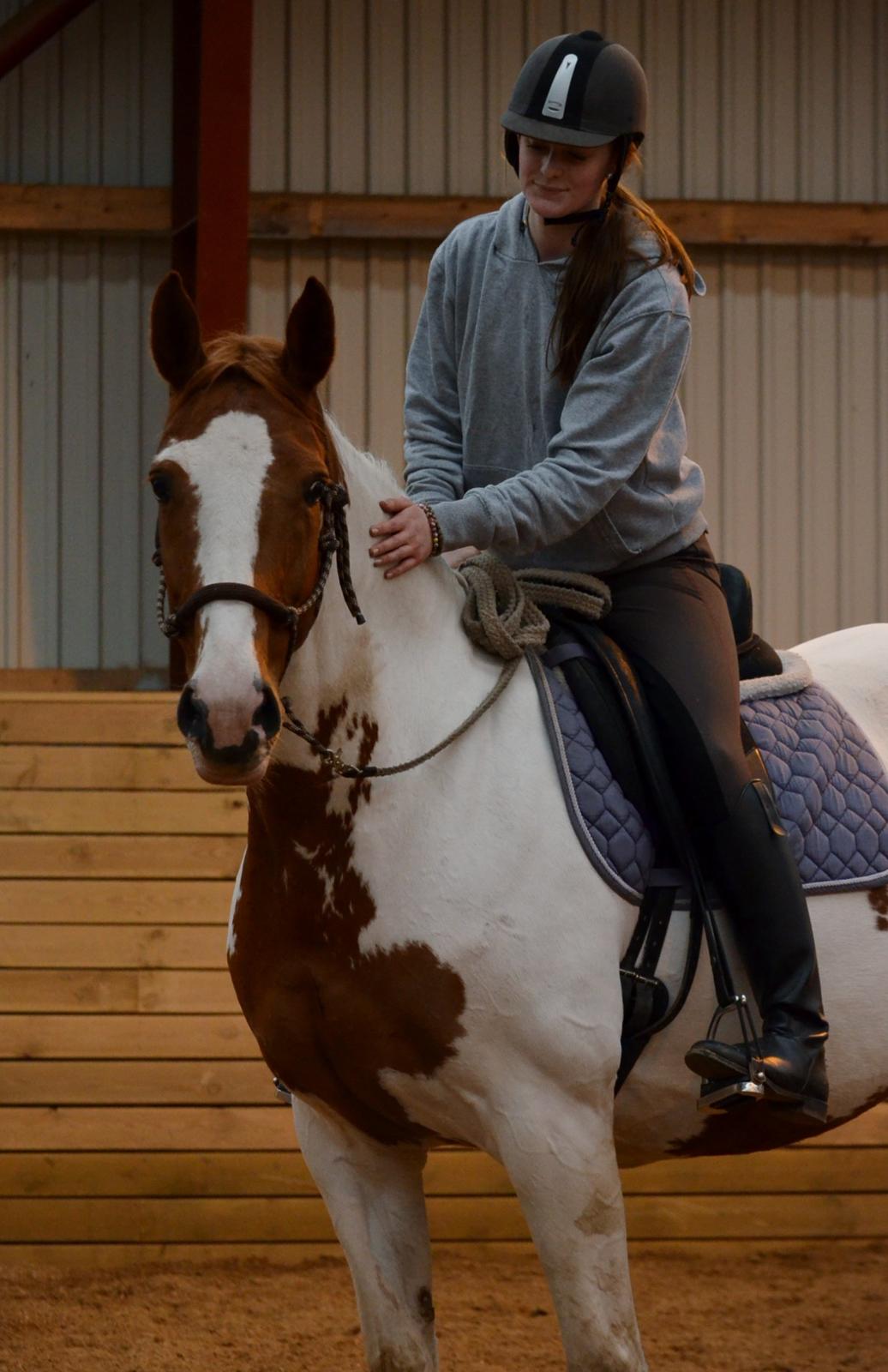 Anden særlig race Jasmin - <3 (foto: Josephine Blossfeld) billede 17