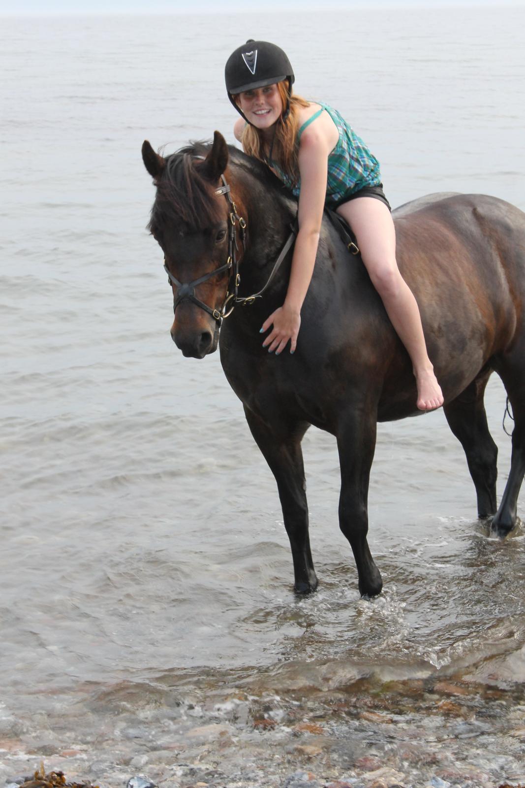 New Forest Strandgårdens Moonlight billede 11