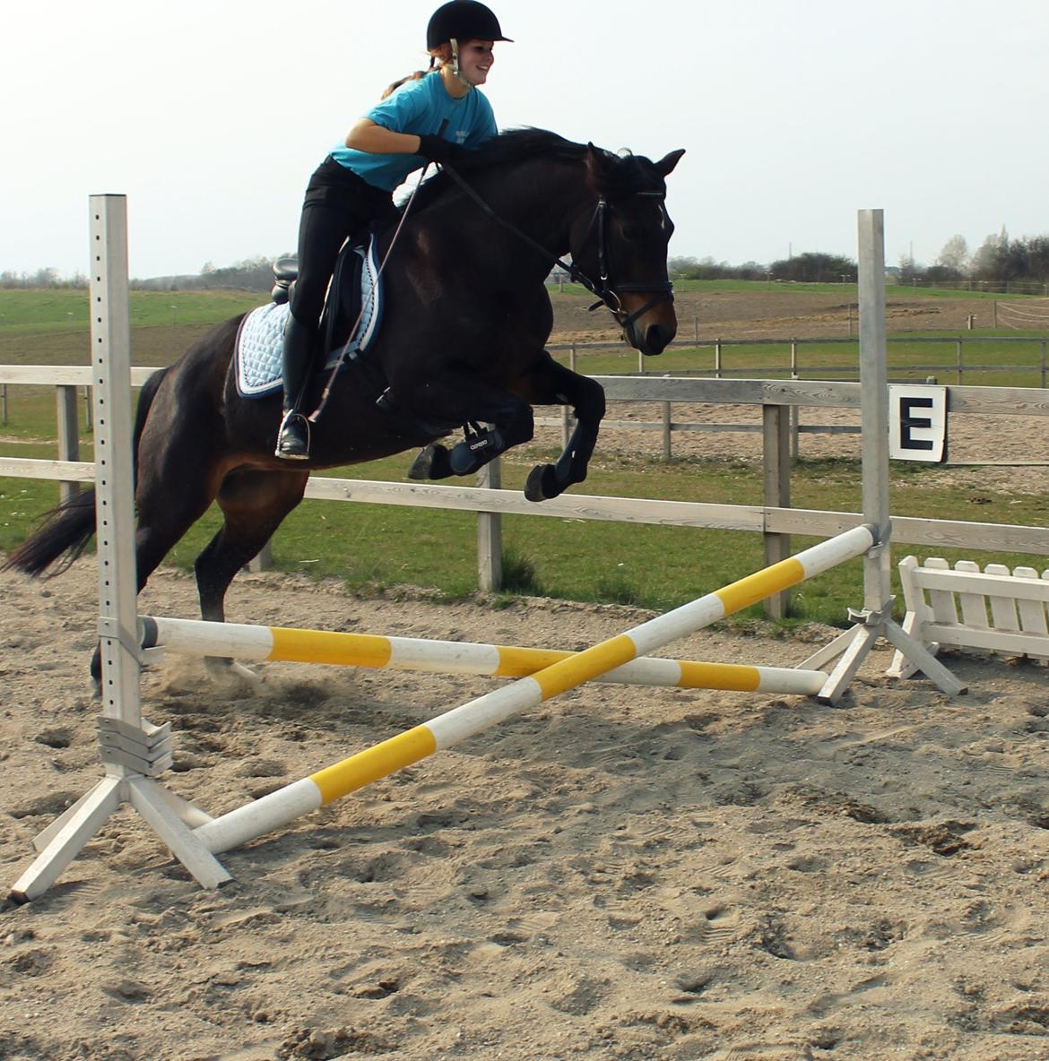New Forest Strandgårdens Moonlight billede 12