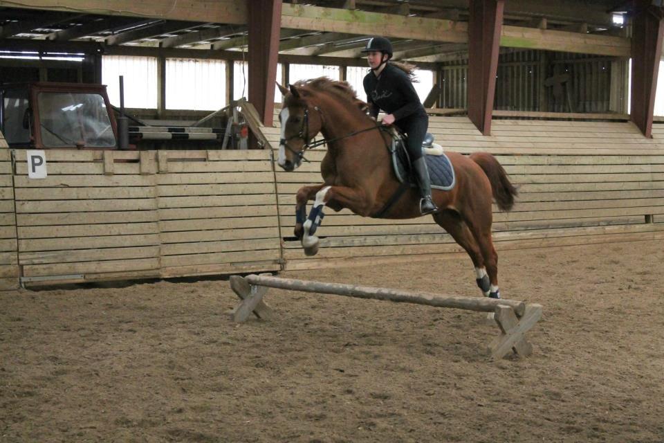 Dansk Varmblod Engeplet Charmeur <3 *Vildhesten* - I fin stil over en cavaletti <3 Taget af Lea <3 billede 5